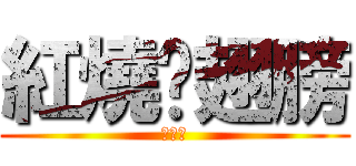 紅燒雞翅膀 (齁假啦)