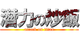 潛力の炒飯 (attack on titan)