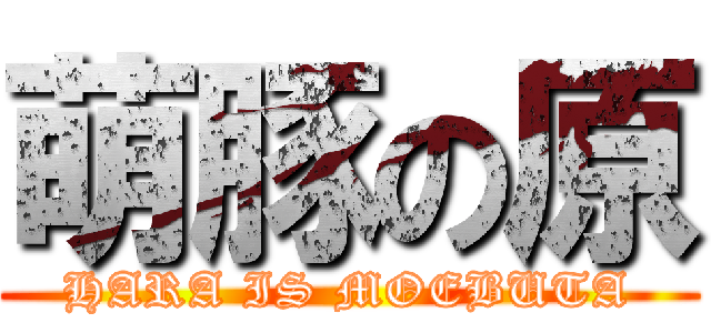 萌豚の原 (HARA IS MOEBUTA)