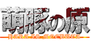 萌豚の原 (HARA IS MOEBUTA)