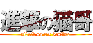 進撃の猫哥 (attack on cat brother)