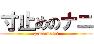 寸止めのナニ (gomennasai)