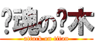 风魂の樱木 (attack on titan)