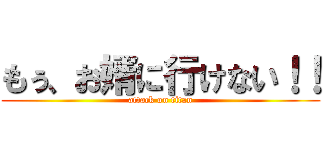 もぅ、お婿に行けない！！ (attack on titan)