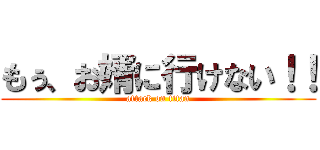 もぅ、お婿に行けない！！ (attack on titan)