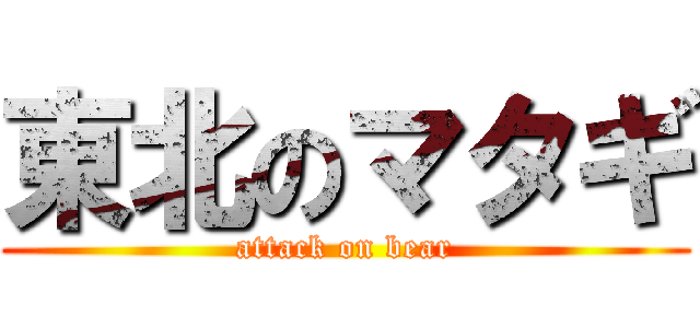 東北のマタギ (attack on bear)