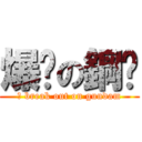 爆发の鋼弹 (	 break out on gundam)