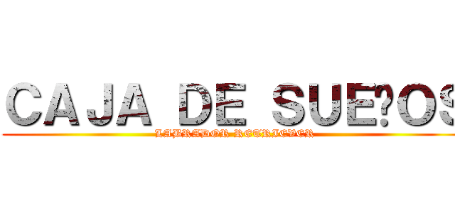 ＣＡＪＡ ＤＥ ＳＵＥÑＯＳ (LABRADOR RETRIEVER)