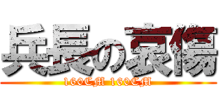 兵長の哀傷 (160CM 160CM)