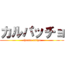 カルパッチョ (chanto miiyo)