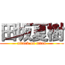 田坂夏樹 (attack on titan)