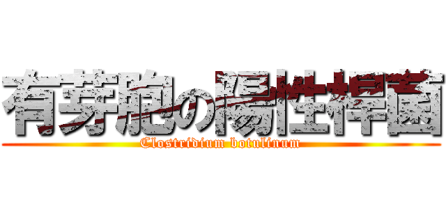 有芽胞の陽性桿菌 (Clostridium botulinum)