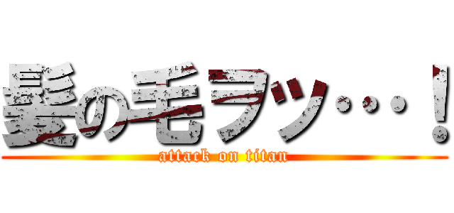 髪の毛ヲッ…！ (attack on titan)