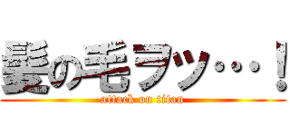 髪の毛ヲッ…！ (attack on titan)
