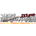 進撃の母猫 (attack on titan)