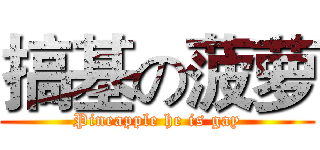 搞基の菠萝 (Pineapple he is gay)