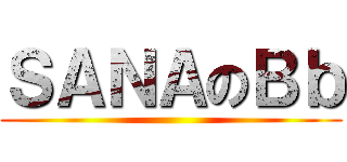 ＳＡＮＡのＢｂ ()