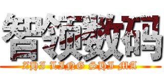 智领数码 (ZHI LING SHI MA)