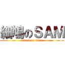細鳩のＳＡＭ (attack on titan)