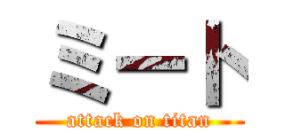 ミート (attack on titan)