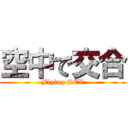 空中で交合 (Flying SEX)