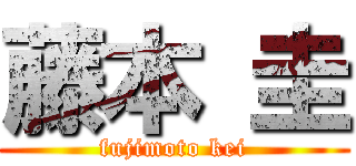 藤本 圭 (fujimoto kei)