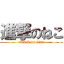 進撃のねこ (attack on tian)