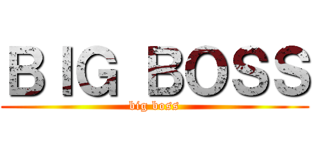 ＢＩＧ ＢＯＳＳ (big boss)