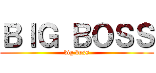 ＢＩＧ ＢＯＳＳ (big boss)