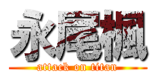 永尾楓 (attack on titan)