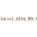 Ｓａｌｕｔ ｔêｔｅ ｄｅ ｃｕｌ (Salut tête de cul)