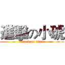 進擊の小琥 (attack on titan)