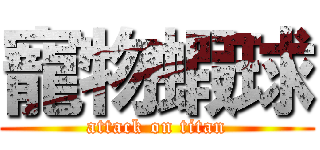 寵物蝦球 (attack on titan)
