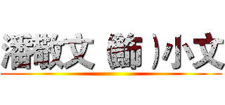 潘敬文（飾）小文 ()