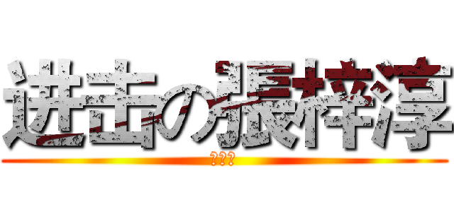 进击の張梓淳 (和表哥)