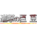 進撃の巨 豆 (attack on titan)