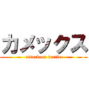 カメックス (attack on turtle)