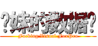 你妹的数据库 (Fucking Visual FoxPro)
