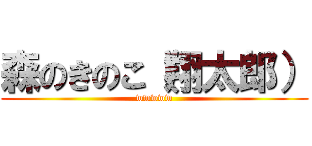 森のきのこ（翔太郎） (wwwww)