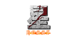 星 (HOSSI)