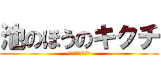 池のほうのキクチ (別にいいですけど)