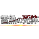雷魚の死体 ()