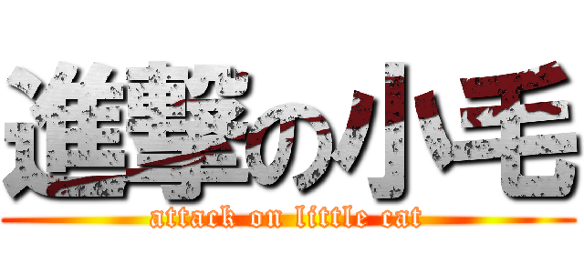 進撃の小毛 (attack on little cat)