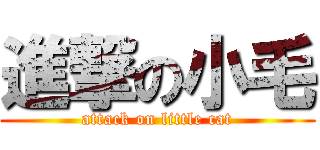 進撃の小毛 (attack on little cat)