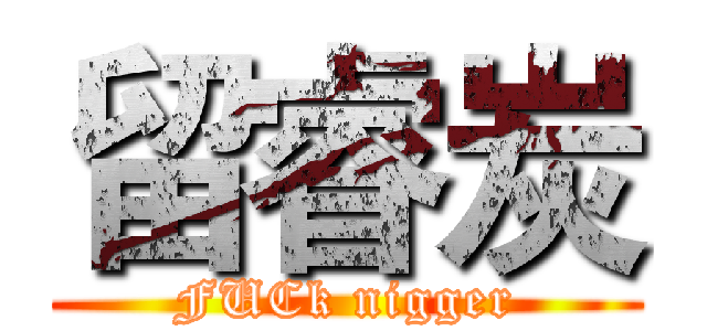 留睿炭 (FUCk nigger)