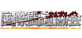 国際闘道協会 (International  Toudo Association)