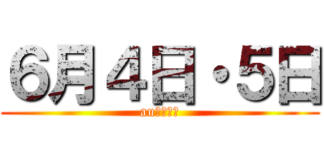 ６月４日・５日 (au新中島店)