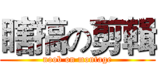 瞎搞の剪輯 (noob on montage)