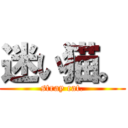 迷い猫。 (stray cat.)