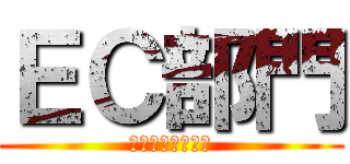 ＥＣ部門 (３億円のルーキー)